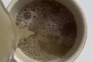 4 day cleanse