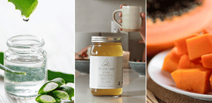 5 Gut Nourishing Ingredients — aloe vera, triphala, bone broth, papaya, & lemon