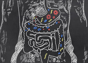 Let’s Talk About Your Gut - And Everything That Goes With It