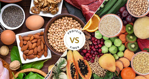 protein vs fiber for gut health