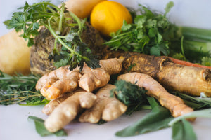 The OWL Gut Health Glossary đ€đŠ