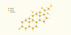 How Cortisol (The Stress Hormone) Affects Your Wellness