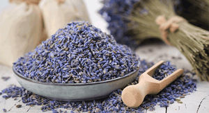 Why We LOVE Lavender