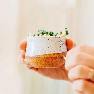 Ceramic Match Striker - OWL Venice