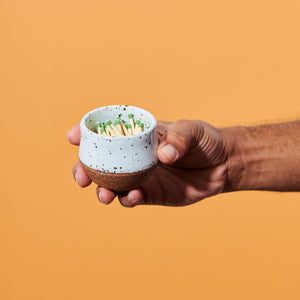 Ceramic Match Striker - OWL Venice