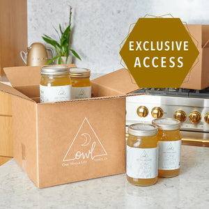 Exclusive Access to OWL Venice