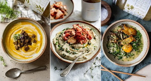 Gut Healthy Comfort Food with OWL Venice Broth Elixirs