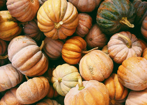 A Guide on Eating During the Fall Season