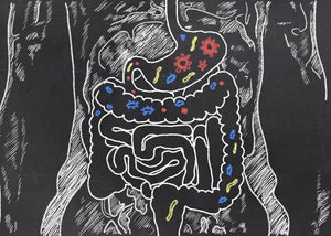 Let’s Talk About Your Gut - And Everything That Goes With It