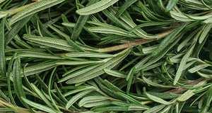 Rosemary