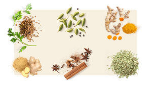 6 Best Spices for Digestion - Coriander, Cardamom, Turmeric, Ginger, Cinnamon, & Fennel