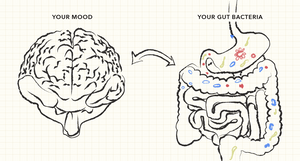 Why Digestion Doesn’t Work When You’re Stressed — And Why Nervous System Regulation Changes Everything