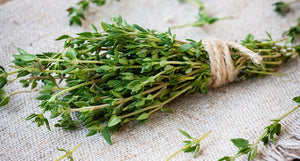 Thyme: Gut-Soothing, Flavor-Forward Wellness