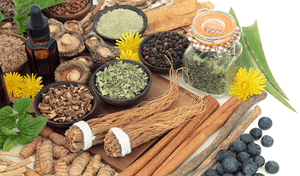 The Magic of Adaptogens