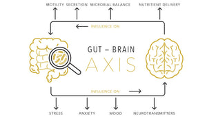Stress Lives in Your Gut: The Gut–Brain Connection