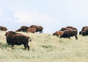 Earth Day: Reflecting On Our Eco-Friendly Practices