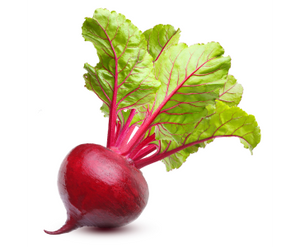Beets for bone broth displayed as whole red beets with vibrant green stems & leaves on a white background
