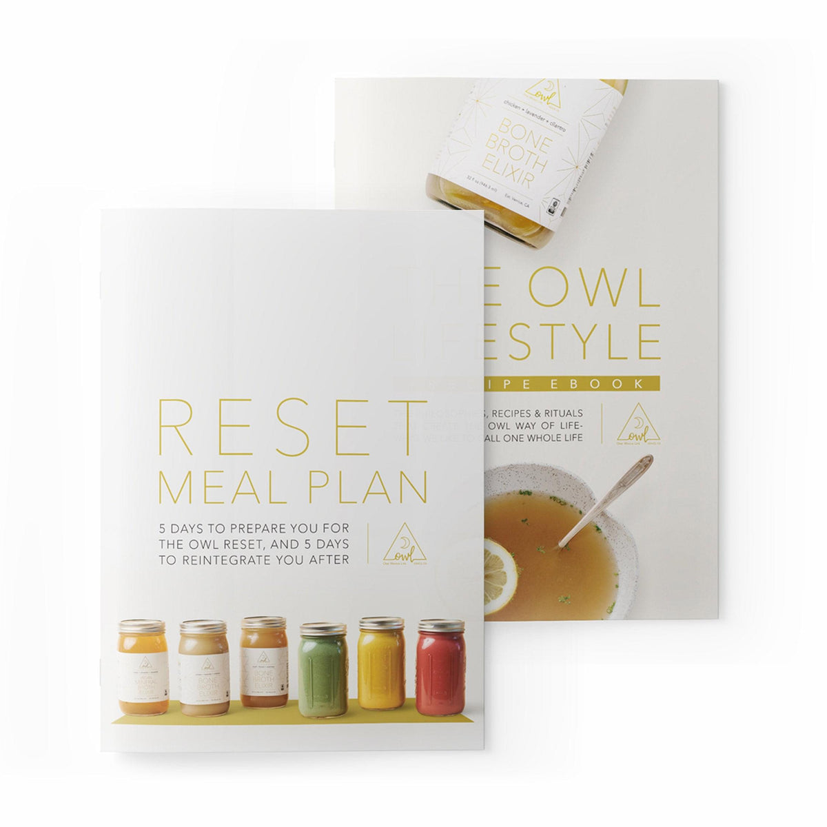 Detox Package Bone Broth Cleanse & 10Day Detox Meal Plan OWL Venice