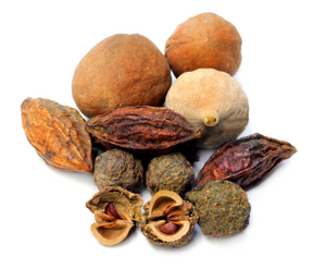 Triphala for bone broth shake, featuring dried fruits of amla, bibhitaki, & haritaki on a white background