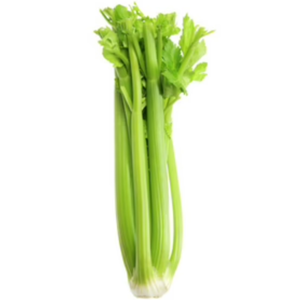 Celery for bone broth displayed as a fresh green bunch with stalks & leaves on a white background