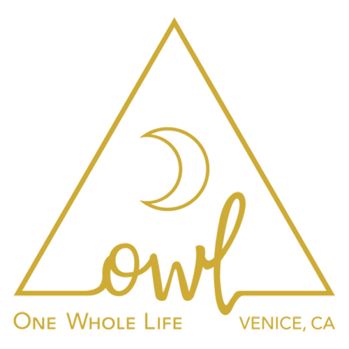 Owl Venice logo
