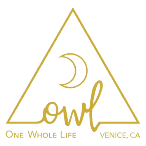 Owl Venice logo