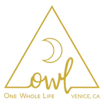 Owl Venice logo