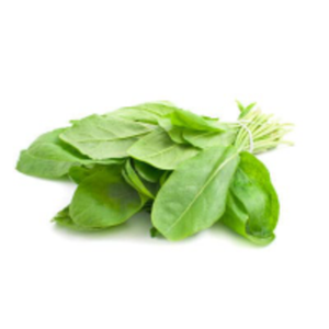 Sorrel for bone broth shown as a fresh bundle of bright green leaves on a white background
