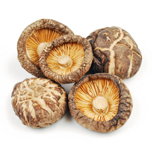 Shiitake mushroom for bone broth, featuring five dried shiitake mushrooms with detailed caps & gills on a white background