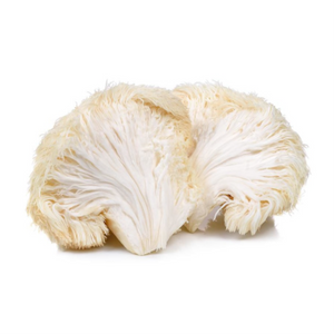 Bone broth with lion's mane, featuring two fresh, fluffy lion's mane mushrooms on a white background
