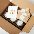 bone broth cleanse