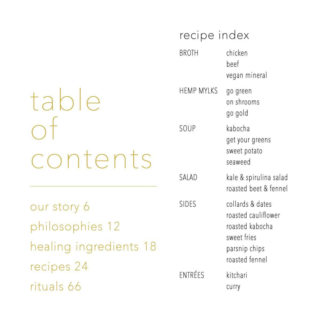 Bone Broth Cleanse Reset Owl Venice OWL Venice