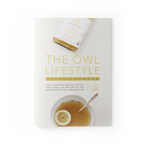 OWL Lifestyle Guide & Recipe E-Book - OWL Venice